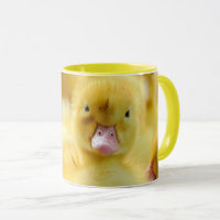 Niedliche Kleintiere | Baby Duck Group