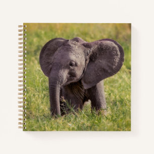 Niedliche Kleintiere Baby Elephant Kenya Africa Notizbuch