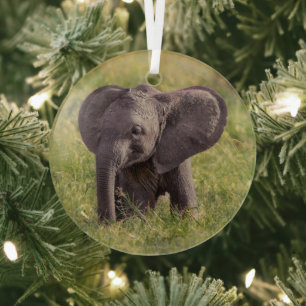 Niedliche Kleintiere   Baby Elephant Kenya Africa Ornament Aus Glas