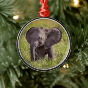 Niedliche Kleintiere Baby Elephant Kenya Africa Ornament Aus Metall