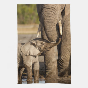 Niedliche Kleintiere   Baby Elephant & Mama Geschirrtuch