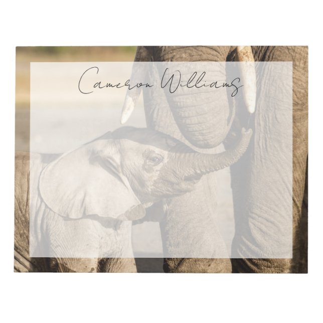 Niedliche Kleintiere | Baby Elephant & Mama Notizblock (Vorderseite)