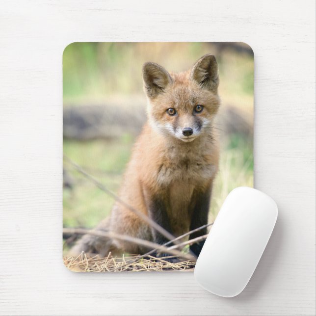 Niedliche Kleintiere | Baby Fox Mousepad (Mit Mouse)