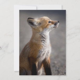 Niedliche Kleintiere Baby Fox Portrait Dankeskarte