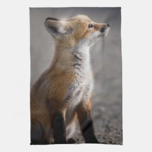 Niedliche Kleintiere Baby Fox Portrait Geschirrtuch
