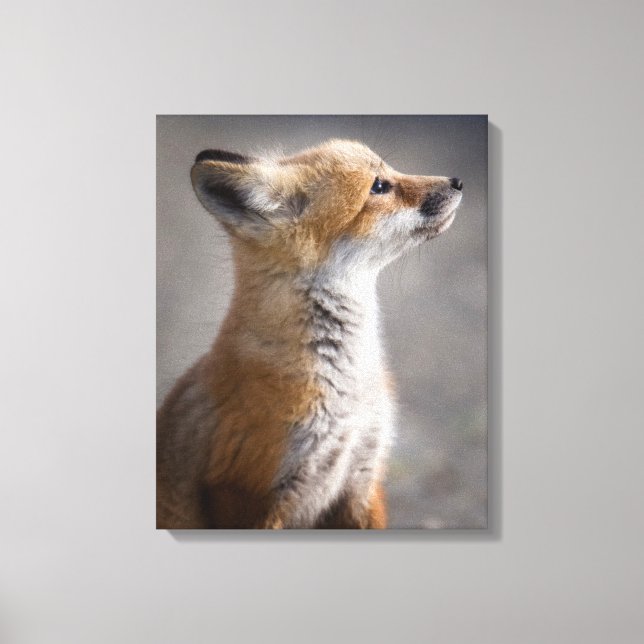 Niedliche Kleintiere | Baby Fox Portrait Leinwanddruck (Vorderseite)