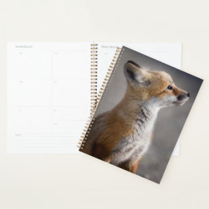 Niedliche Kleintiere Baby Fox Portrait Planer