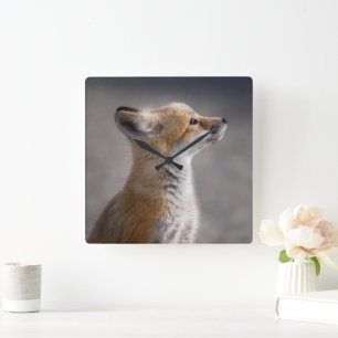Niedliche Kleintiere Baby Fox Portrait Quadratische Wanduhr