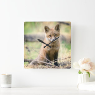 Niedliche Kleintiere Baby Fox Quadratische Wanduhr