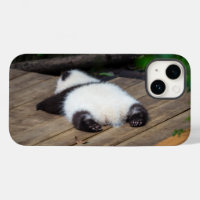 Niedliche Kleintiere | Baby Giant Panda Schlafen