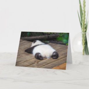 Niedliche Kleintiere   Baby Giant Panda Schlafen Karte