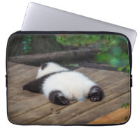 Niedliche Kleintiere | Baby Giant Panda Schlafen