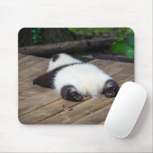 Niedliche Kleintiere   Baby Giant Panda Schlafen Mousepad