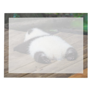 Niedliche Kleintiere   Baby Giant Panda Schlafen Notizblock