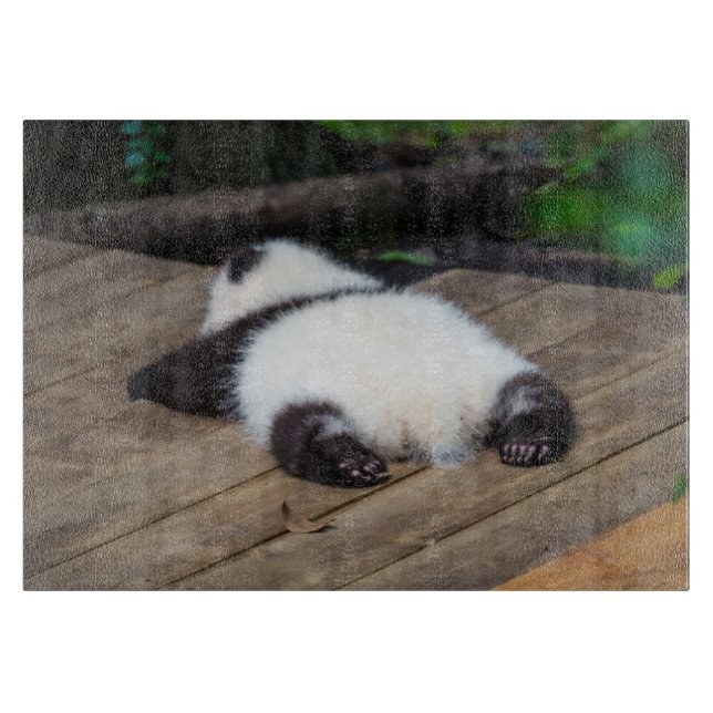 Niedliche Kleintiere | Baby Giant Panda Schlafen Schneidebrett (Vorderseite)