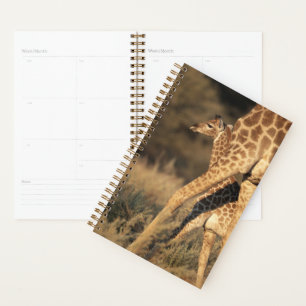 Niedliche Kleintiere Baby Giraffe & Parent Planer