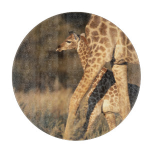 Niedliche Kleintiere Baby Giraffe & Parent Schneidebrett