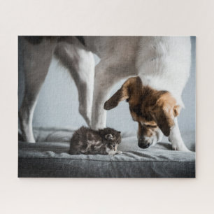 Niedliche Kleintiere   Baby Kitten & Dog Puzzle