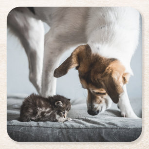 Niedliche Kleintiere   Baby Kitten & Dog Rechteckiger Pappuntersetzer