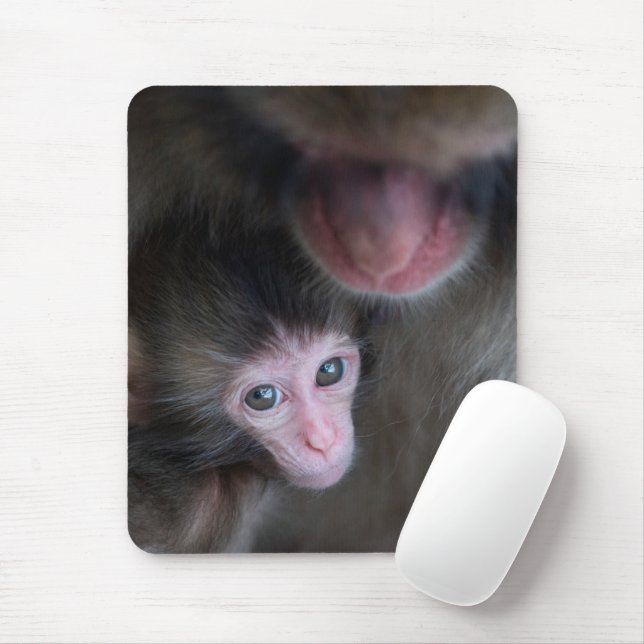 Niedliche Kleintiere | Baby Macaque Monkey & Mothe Mousepad (Mit Mouse)