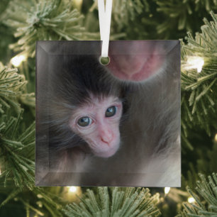 Niedliche Kleintiere   Baby Macaque Monkey & Mothe Ornament Aus Glas