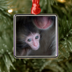 Niedliche Kleintiere   Baby Macaque Monkey & Mothe Ornament Aus Metall