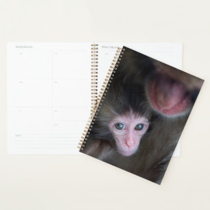 Niedliche Kleintiere Baby Macaque Monkey & Mothe Planer