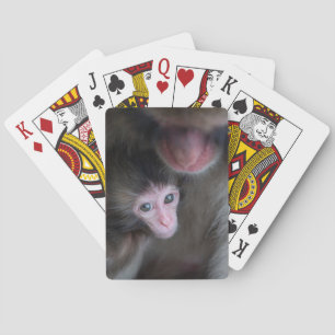 Niedliche Kleintiere Baby Macaque Monkey & Mothe Spielkarten