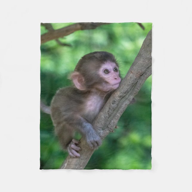 Niedliche Kleintiere | Baby Monkey Fleecedecke (Vorderseite)