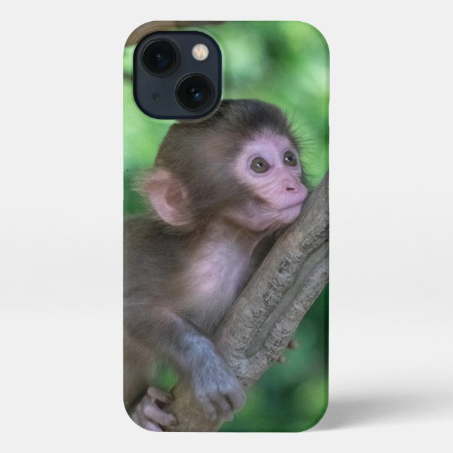 Niedliche Kleintiere | Baby Monkey iPhone Hülle (Rückseite)