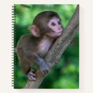Niedliche Kleintiere   Baby Monkey Notizbuch