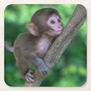 Niedliche Kleintiere   Baby Monkey Rechteckiger Pappuntersetzer