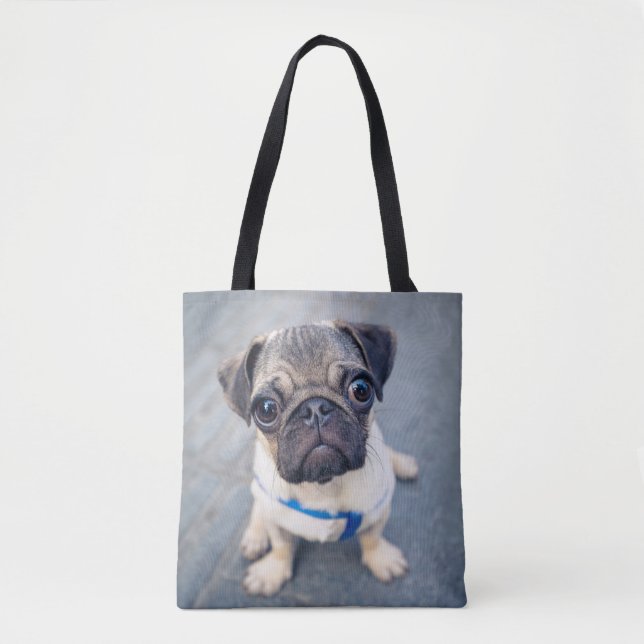 Niedliche Kleintiere | Baby Mops (Vorderseite)