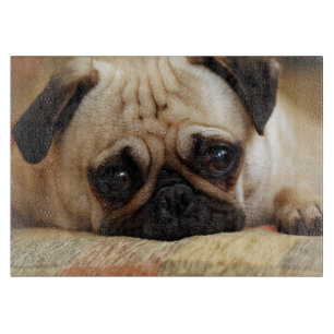 Niedliche Kleintiere   Baby Mops Puppy Schneidebrett