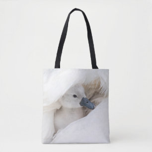 Niedliche Kleintiere Baby Mute Swan