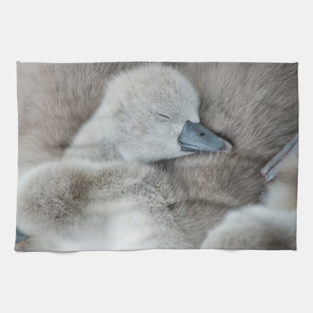 Niedliche Kleintiere | Baby Mute Swan Geschirrtuch (Horizontal)