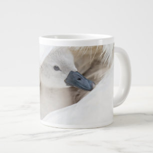 Niedliche Kleintiere   Baby Mute Swan Jumbo-Tasse
