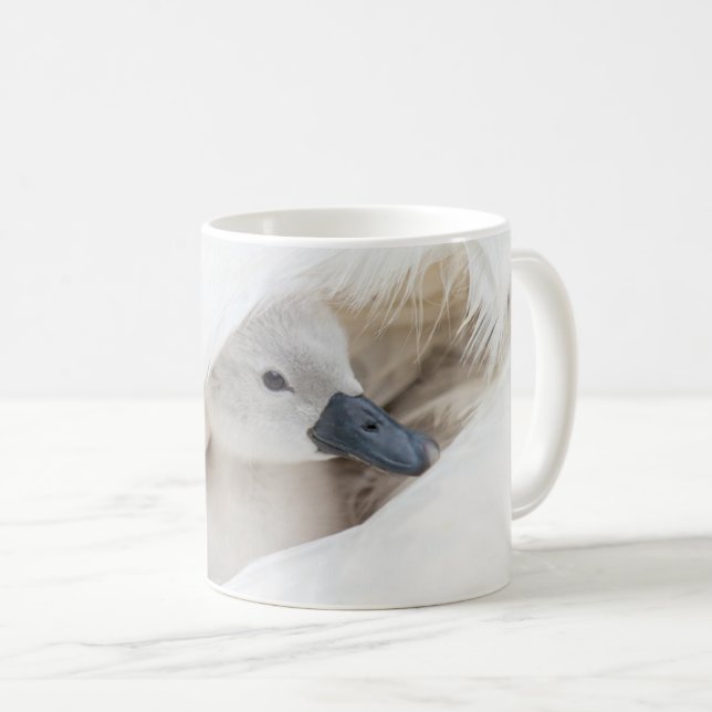 Niedliche Kleintiere | Baby Mute Swan Kaffeetasse (VorderseiteRechts)