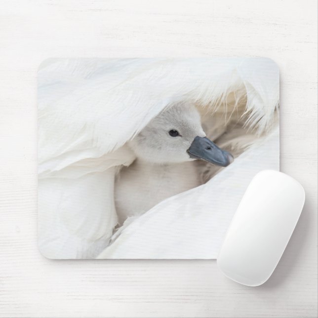 Niedliche Kleintiere | Baby Mute Swan Mousepad (Mit Mouse)
