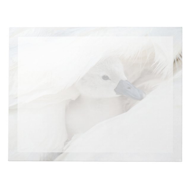 Niedliche Kleintiere | Baby Mute Swan Notizblock (Vorderseite)