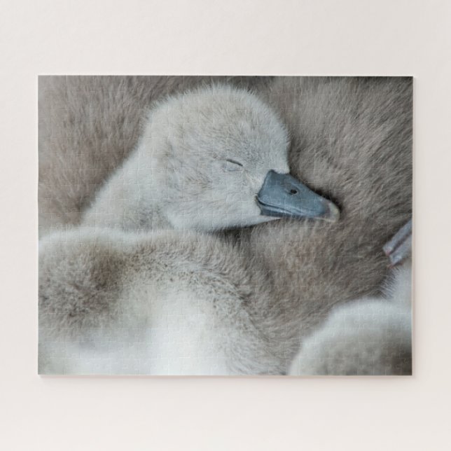 Niedliche Kleintiere | Baby Mute Swan Puzzle (Horizontal)