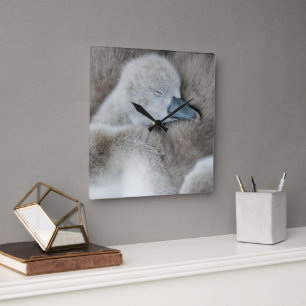 Niedliche Kleintiere Baby Mute Swan Quadratische Wanduhr