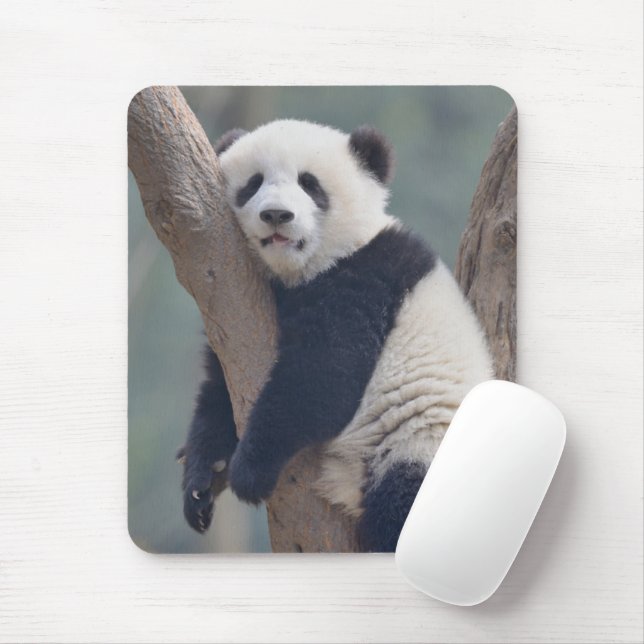 Niedliche Kleintiere | Baby Panda Bärenzucht Mousepad (Mit Mouse)