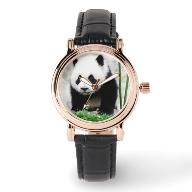 Niedliche Kleintiere | Baby Panda Bear Armbanduhr (Vorderseite)