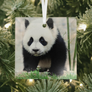 Niedliche Kleintiere Baby Panda Bear Ornament Aus Glas