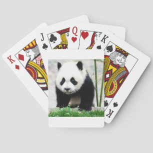 Niedliche Kleintiere Baby Panda Bear Spielkarten