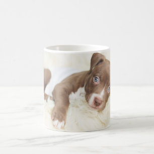 Niedliche Kleintiere Baby Pit Bull Puppy Kaffeetasse