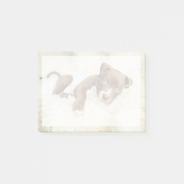 Niedliche Kleintiere | Baby Pit Bull Puppy Post-it Klebezettel (Vorderseite)