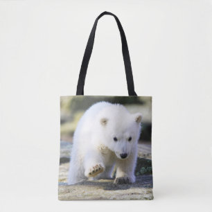 Niedliche Kleintiere Baby Polar Bear Cube