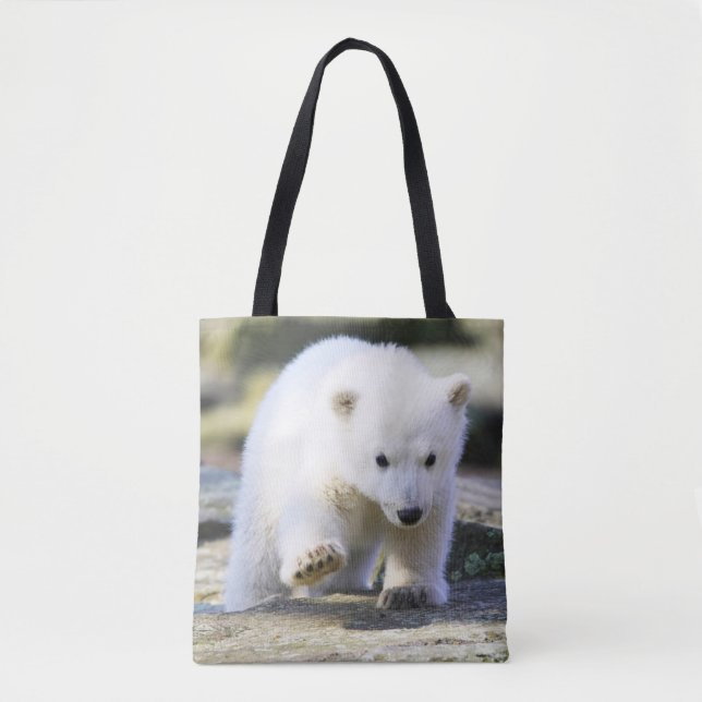 Niedliche Kleintiere | Baby Polar Bear Cube (Vorderseite)
